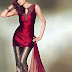 COPYCAT DESIGNS & DRESSES #8: Deep Red Silk Rubia Suit