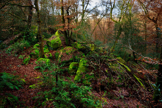 La Gorge aux Loups, forêt de Fontainebleau.