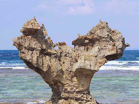 Heart Stone, Kouri-jima,Okinawa