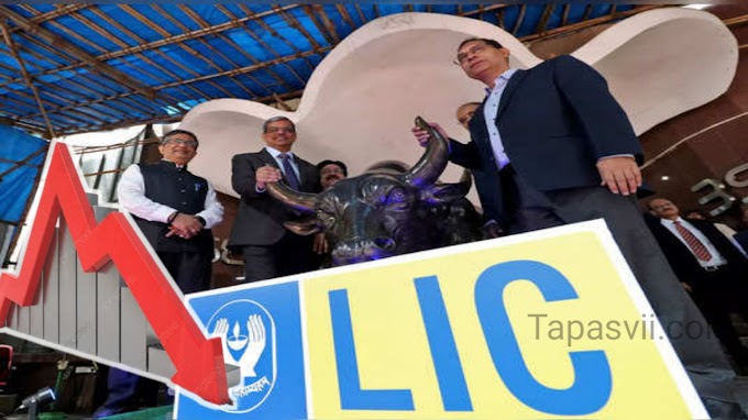 LIC IPO : ಮೊದಲ ಷೇರು ಹೂಡಿಕೆಯಲ್ಲಿ ಮುಗ್ಗರಿಸಿದ ಎಲ್‌ಐಸಿ