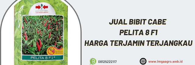 jual,murah,terjangku,toko pertanian terdekat,lmga agro