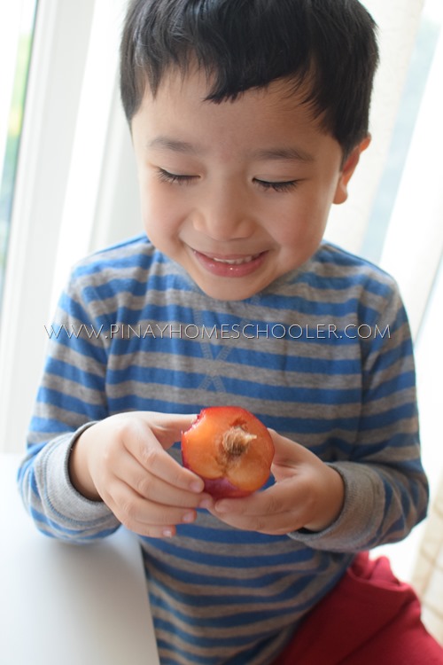 Tasting the Fruit