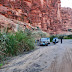 Discovering the Enchanting Beauty of Wadi Al Disah in Tabuk, Saudi Arabia