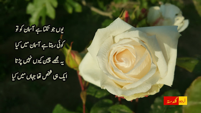 محبت بھری اردو شاعری