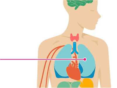 Health Effects of Smoking on Your Body