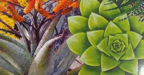 Book Succulents Simplified Alternative Green World