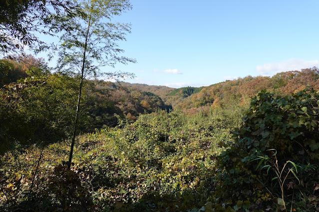 鳥取県西伯郡南部町池野