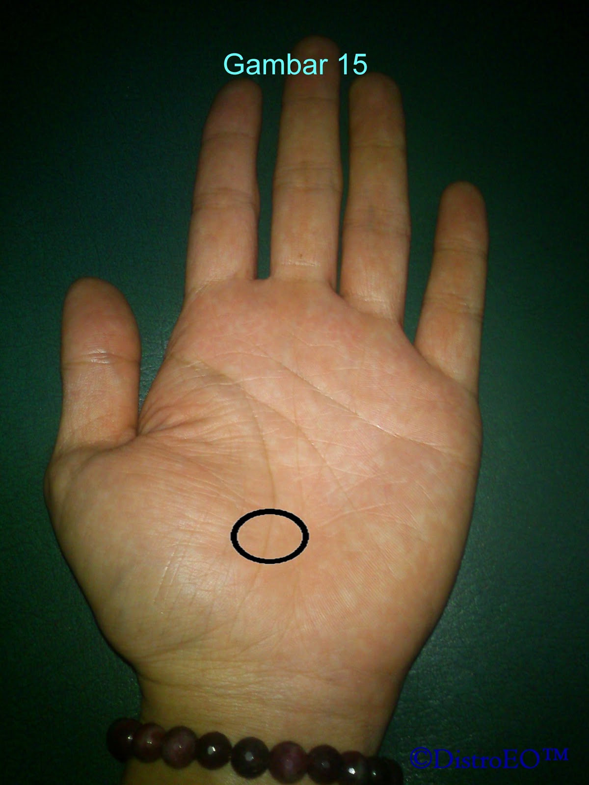 Bagi Rahasia: Titik Telapak Tangan (3T) dan manfaatnya 
