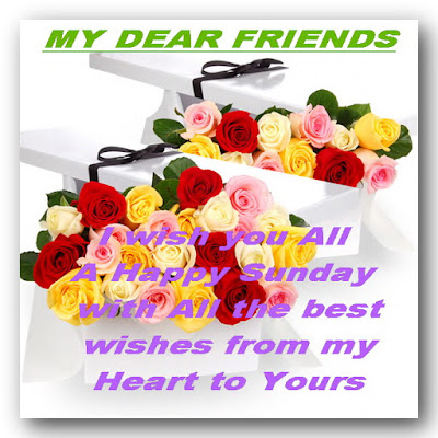 Happy Sunday Friends