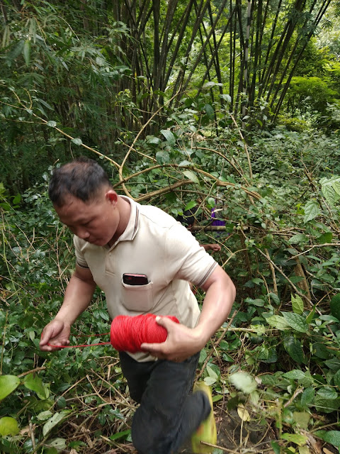 on modelise la conduite par un fil rouge a travers la foret