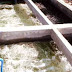 Xử lý nước thải sinh hoạt bằng biện pháp nào là chất lượng nhất