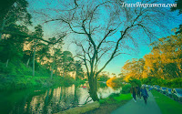 Stow Lake unfolds like a natural canvas, reflecting the surrounding foliage and the vibrant hues of the sky. The lake's placid waters create a mirror-like surface, perfectly mirroring the silhouette of the boathouse and the towering eucalyptus trees that line its shores. Visitors can embark on a leisurely stroll along the well-maintained pathways, immersing themselves in the symphony of bird songs and the rustle of leaves.