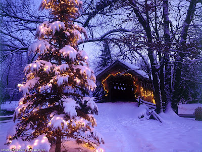 Christmas Nature View HD Desktop Wallpapers