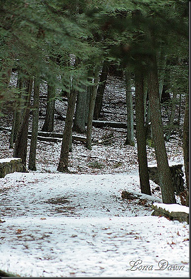 OMC_UpperTrail2_Dec11