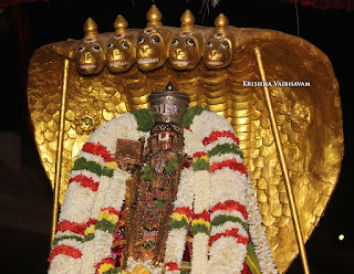 Ippasi,Sesha vahanam, Manavala Maamunigal,Purappadu,2016, Video, Divya Prabhandam,Triplicane,Thiruvallikeni,Utsavam,