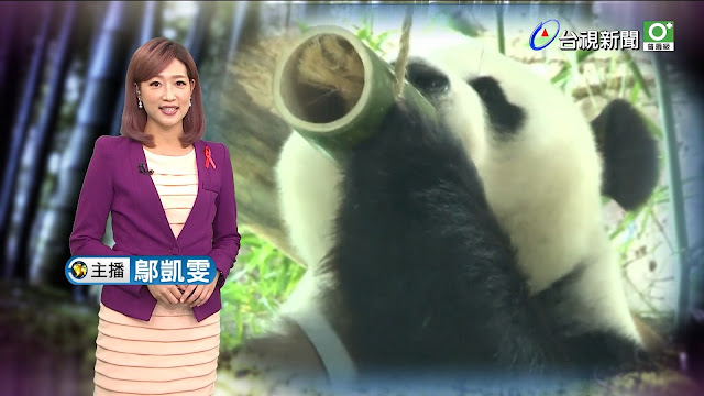 台視主播 鄔凱雯 台灣真善美 非凡大探索 蕭薔 張立群 黃螢曦 徐巧芯 楊志賢 林志玲 張佳如 沈泳吟 周怡德 張宇 方彥迪 蔡尚樺 侯乃榕 李佳玲 莊靖暄 九把刀 胡凱淳 排骨飯 牛排 馬英九 金溥聰 陳雅琳 黃暐瀚 王小棣 吳慷仁 五月花 徐展元 黃于庭 陳向詠 蘇智傑 黃士修 黃子鳳 虞承璇 王蕾雅 吳宇舒 房業涵 蔡孟琳 莊惠琪 簡懿佳 巫嘉芬 劉品薇 張天胤 劉亦菲 劉詩詩 吳怡霈 陳海茵 尹雪艷 連俞涵  Christina 卡門 Carmen 海豐海鮮餐廳 鼎泰豐 徐裴翊 楊中化 陳柏霖 中天 主播 劉涵竹 劉盈秀 絕對領域 王彥文 陳怡蓉 鄒倩琳 許瑋甯 Tiffany Ann Hsu 阮經天 葉家雞捲 海賊王萌學園 尋找磐古 魔法號令 萌騎士傳奇 聖戰再起 羅志祥 吳亞馨 植劇場 荼蘼 戀愛沙塵暴  機動警察 Mobile Police Patlabor Reboot 曾之喬 韋汝 愛玩客 詹姆士 韓國 濟州島 米其林 Honda 車展 Lamigo Monkeys 陽詠存 李佳穎 楊一展 溫貞菱 鍾承翰 林青霞 瓊瑤 楊寶楨 擎天崗 大橋頭 阿華鯊魚煙 TPP 海底撈 張景嵐 洪藜恩 李培禎 林莉婷 張延綾 賴雅妍 魏華萱 曾愷玹 朱楚文 牛肉麵 中信兄弟 總冠軍 神機妙算 劉伯溫 家樂福 模特兒 壹電視 隋棠 謝沛恩 福原愛 江宏傑 唐立淇 占星幫 楊丞琳  楊謹華 陽明山 柯淑勤 樊光耀 一把青 台北人 五月天 神力女超人 Skoda Gina Holden Wonder Woman Flash Gordon Mind Control Female possess possession Brainwash 黑絲 黑絲控 黑絲襪 凱渥 Catwalk Model Agency Ltd 周亭羽 巴黎 Au Vieux Colombiert 久石讓 武道館