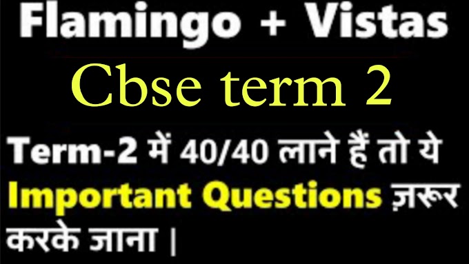 flamingo and vistas important questions class 12 English term 2 cbse 