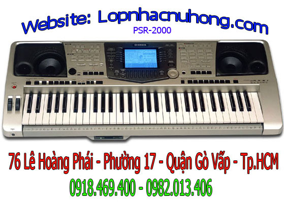 dan organ yamaha psr 2000