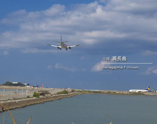 [写真] 那覇･瀬長島で飛行機ウォッチング♪