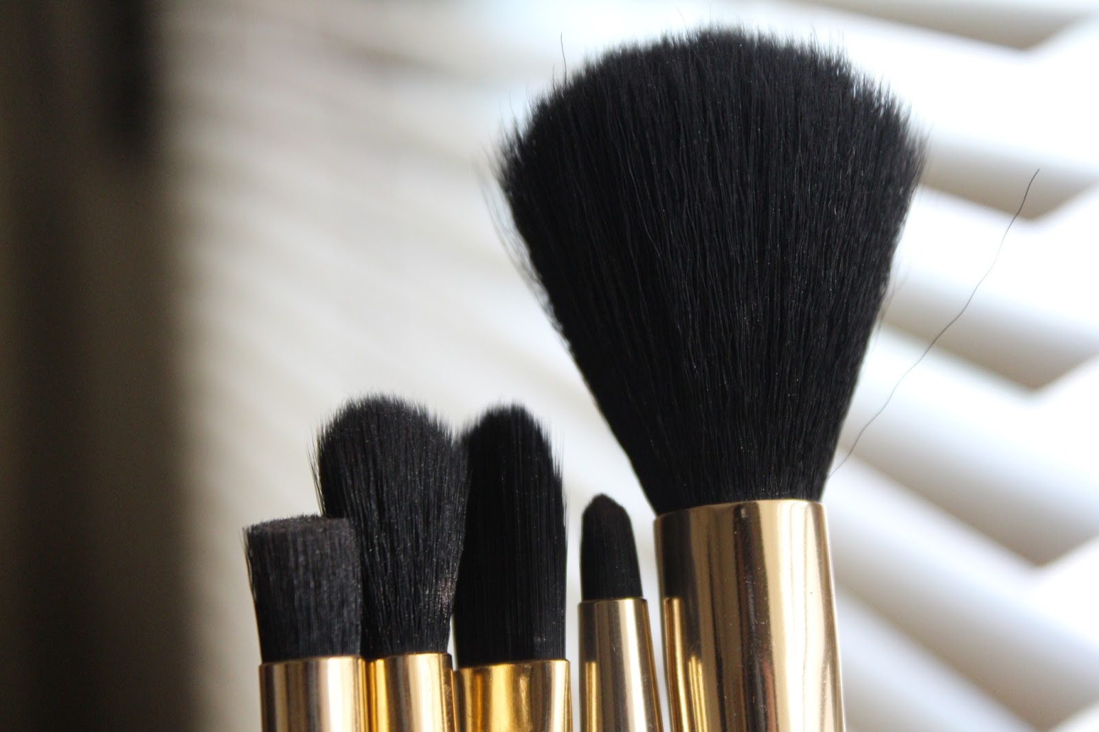 Love & Beauty Forever 21 5-piece Makeup Brush Set Review