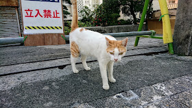 沖縄 壺屋やちむん通り