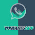 Download Aplikasi YOWhatsApp (YoWA) Android