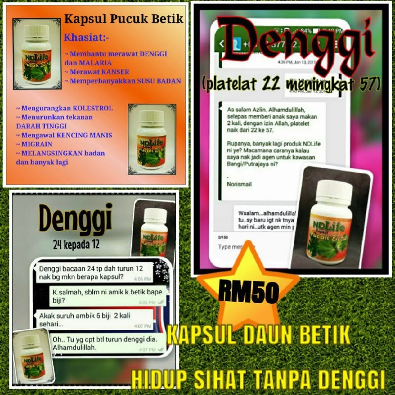 Ubat Denggi  Kedai Herba Online