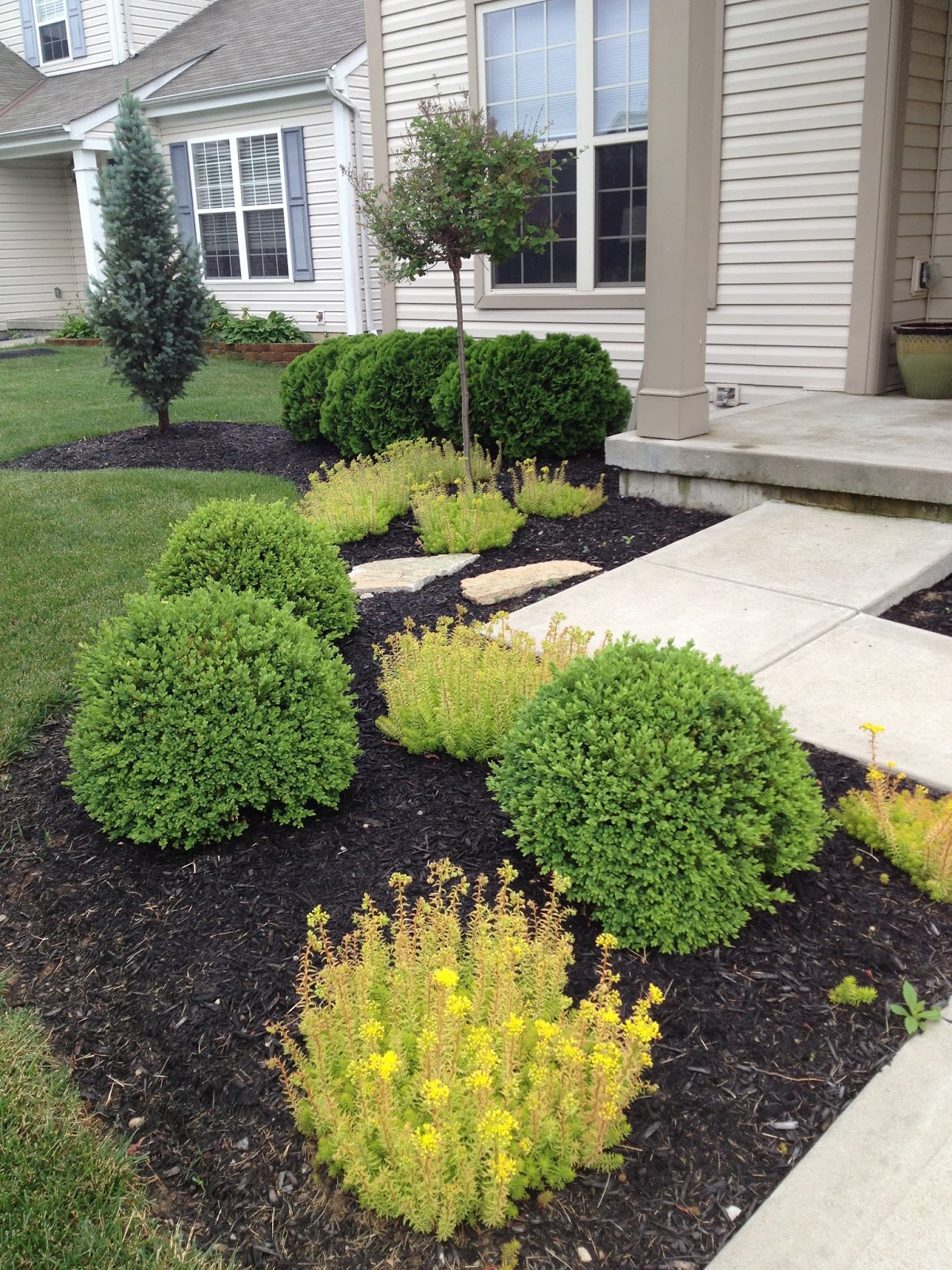 Landscaping My Front Yard