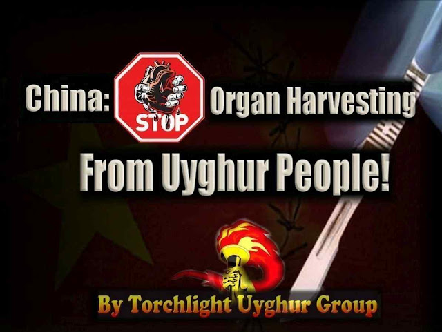 A minoria étnica uigur é alvo da política de repressão política e comercialização de órgãos.