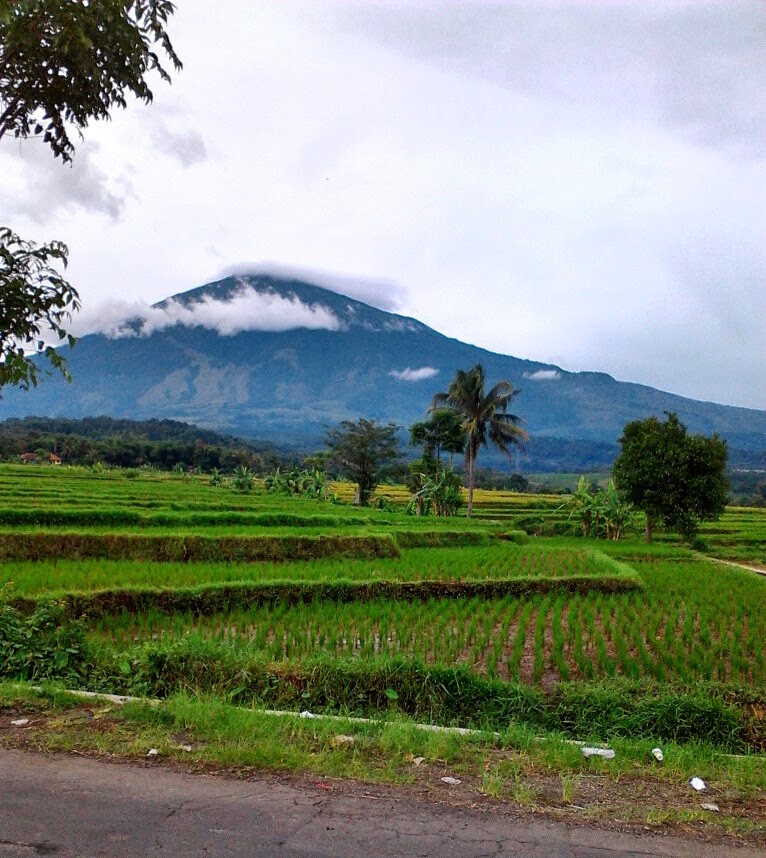 Selam t datang di dunia sari Gunung Ciremai 