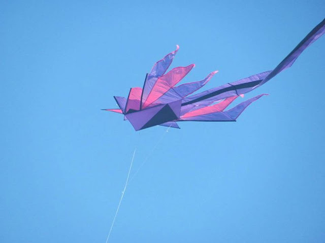 International Kite Festival 2011 - Ahmedabad, India