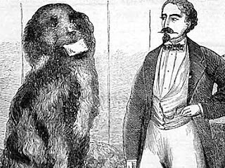 Napoleon: G. Van Hare's Circus Dog