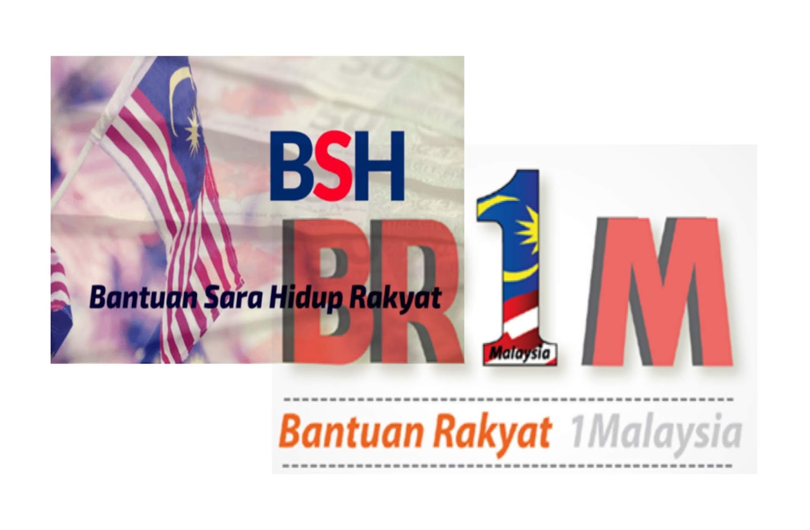 BR1M/BSH: Is DAP sabotaging PPBM's Semenyih campaign 