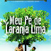 Meu Pé de Laranja Lima (2012)