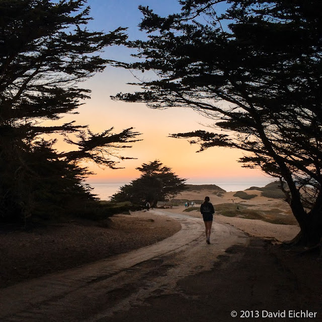 Bay Area Beaches