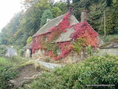 cottage covered with red creeper near Fountains Abbey in Ripon, North Yorkshire, England