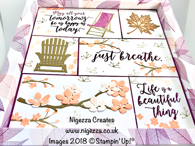 Shadow Frame Box Sampler Using Stampin' Up!® Natures Poem & Colourful Seasons Nigezza Creates