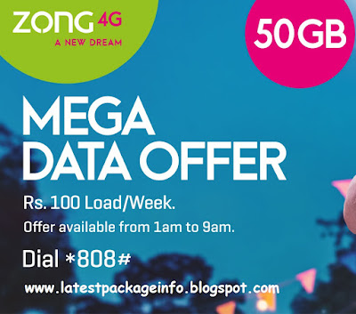 What is Zong Mega Data Offer