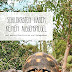 Herunterladen Schildkröten haben keinen Außenspiegel: und andere Geschichten aus Madagaskar Bücher