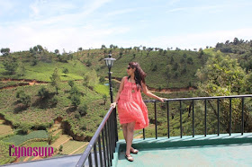 What To Do In Sri Lanka, #iCynosureInSriLanka A Day At The Tea Plantation, How To Style A High-Low Dress