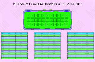 Jalur Soket ECM Honda PCX 150 2014-2016