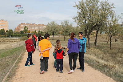 Descubriendo el Parque del Humedal - Coslada