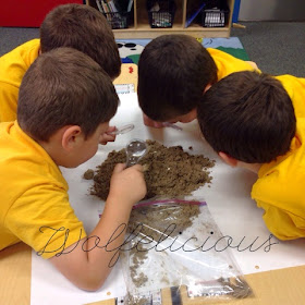 Photo of Looking at soil