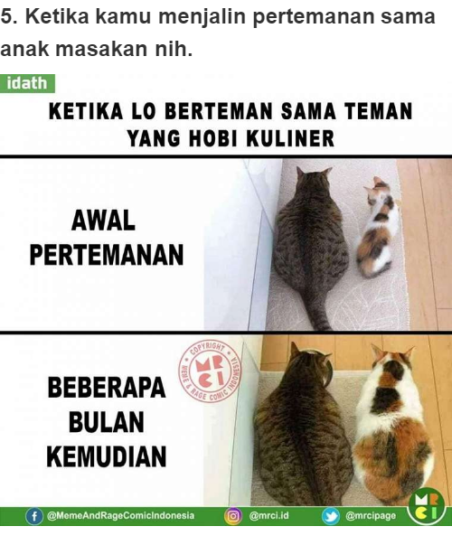 Jatuh Basikal Sendiri Memme