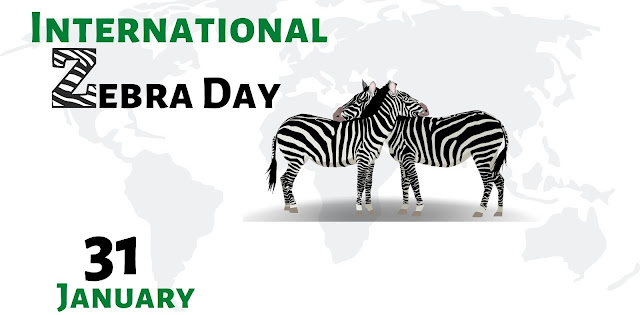 INTERNATIONAL ZEBRA DAY 2024 - 31ST JANUARY | சர்வதேச வரிக்குதிரை தினம் 2024 - 31ம் ஜனவரி