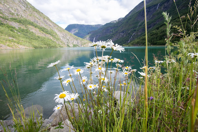 Lago Eidsvatnet