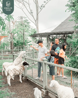 Menikmati Keindahan Obelix Village - Mini Zoo Jogja