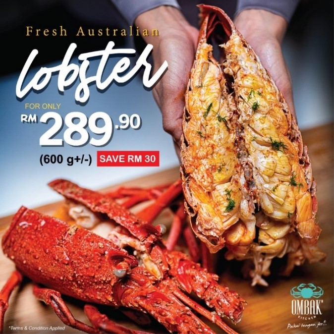 Lobster Australia segar