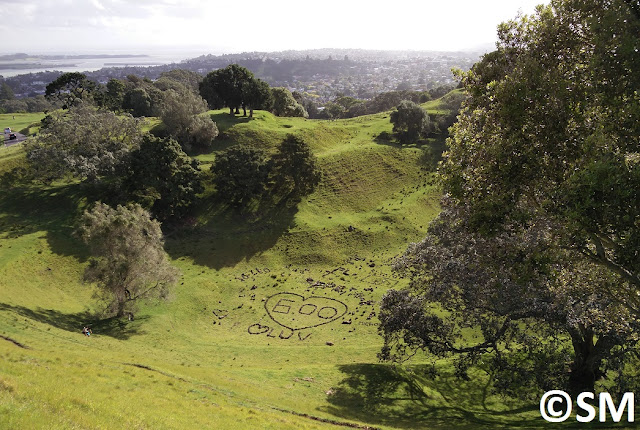 Photo du cratère ecntral One Tree Hill Auckland Nouvelle-Zélande