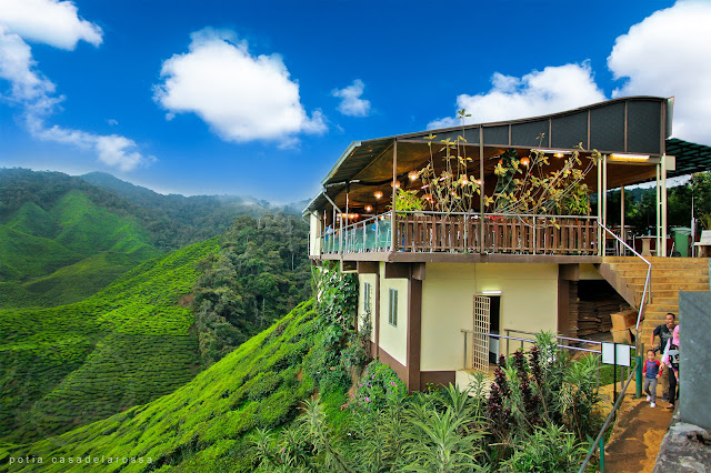 Cameron Valley, Tea House (BOH Plantation), Cameron Highlands, Pahang